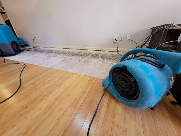 Professional Basement Flood Cleanup technician working in Kenduskeag, ME